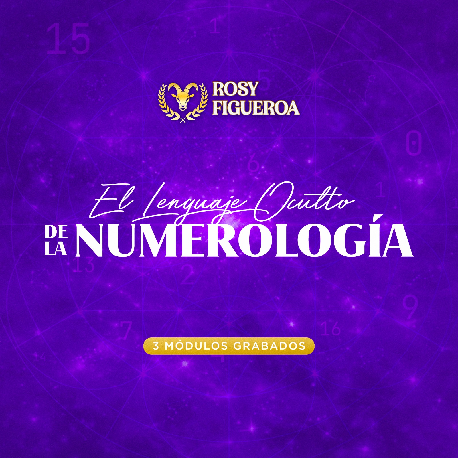 La Clave Secreta de la Numerología Nivel 1